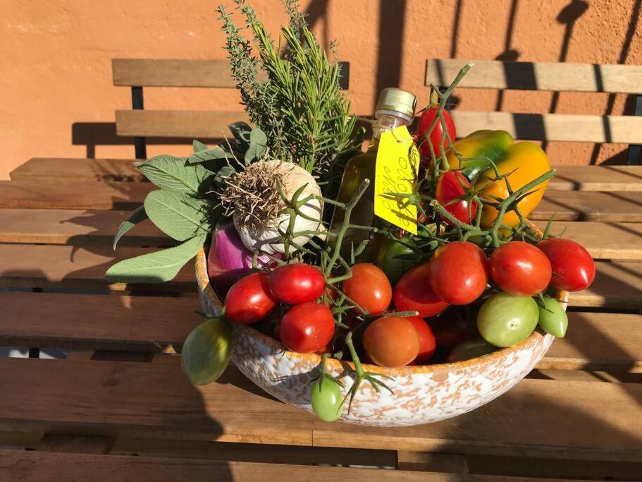 Agriturismo Il Sorbino - Appartamento Da Cocca Pian d'Alma ภายนอก รูปภาพ