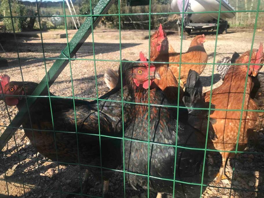 Agriturismo Il Sorbino - Appartamento Da Cocca Pian d'Alma ภายนอก รูปภาพ