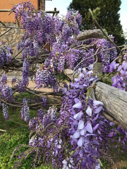 Agriturismo Il Sorbino - Appartamento Da Cocca Pian d'Alma ภายนอก รูปภาพ