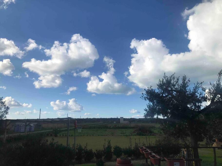 Agriturismo Il Sorbino - Appartamento Da Cocca Pian d'Alma ภายนอก รูปภาพ