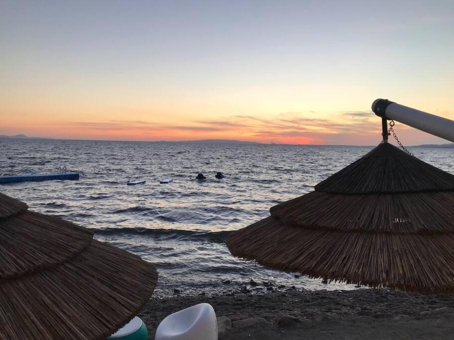 Agriturismo Il Sorbino - Appartamento Da Cocca Pian d'Alma ภายนอก รูปภาพ