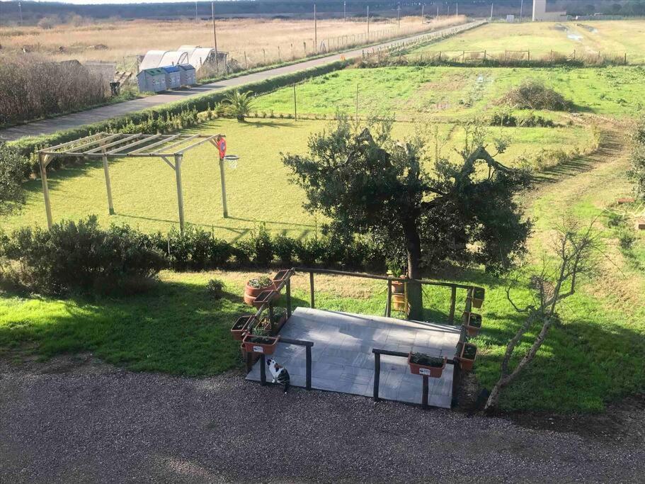 Agriturismo Il Sorbino - Appartamento Da Cocca Pian d'Alma ภายนอก รูปภาพ